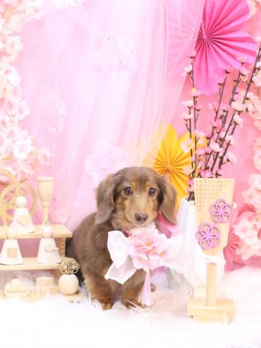 20250502モカくん